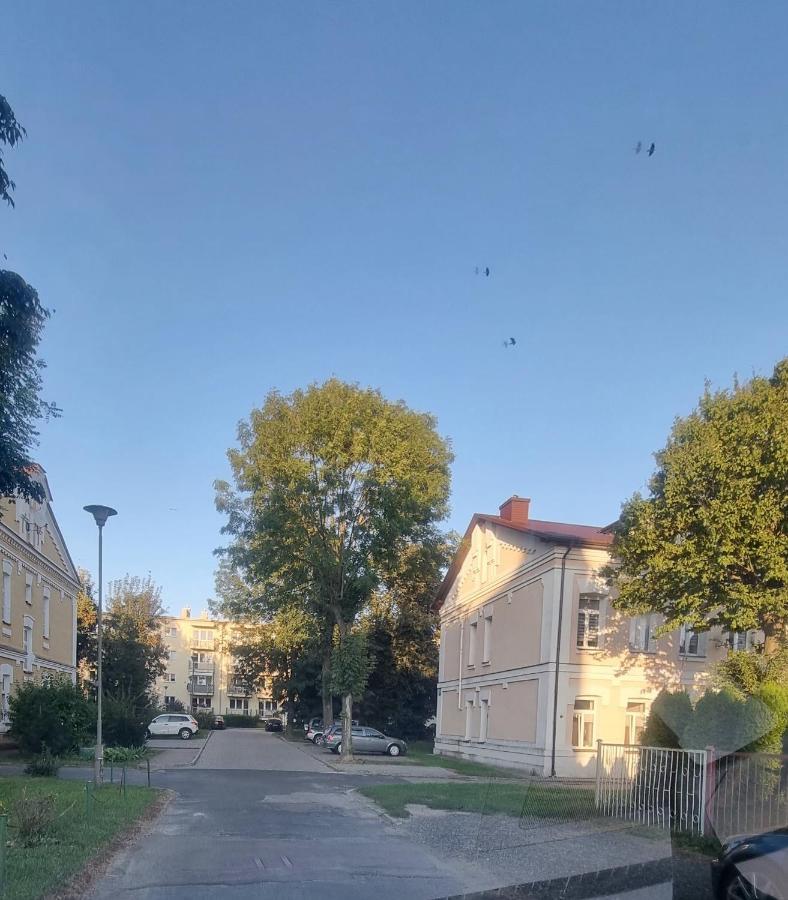 Apartament Kresowy Parter 3 Pokoje Duza Lazienka Kabino-Wanna Spa Wi Fi Ekspres 2X Smart Tv Antresola Parking Free Plac Zabaw Bilet Na Aquapark 150M W Cenie كوبياشوف المظهر الخارجي الصورة